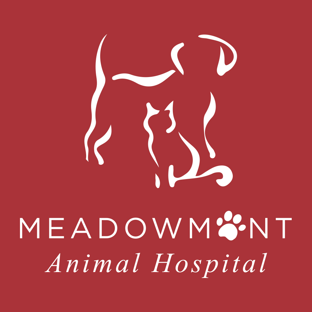 Welcome To Meadowmont Animal Hospital in Chapel Hill, NC