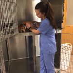 Meadowmont Animal Hospital ASPCA 27